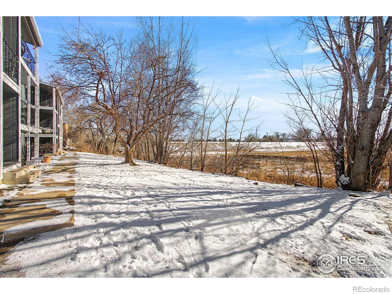1684 Riverside Avenue Fort Collins CO 80525