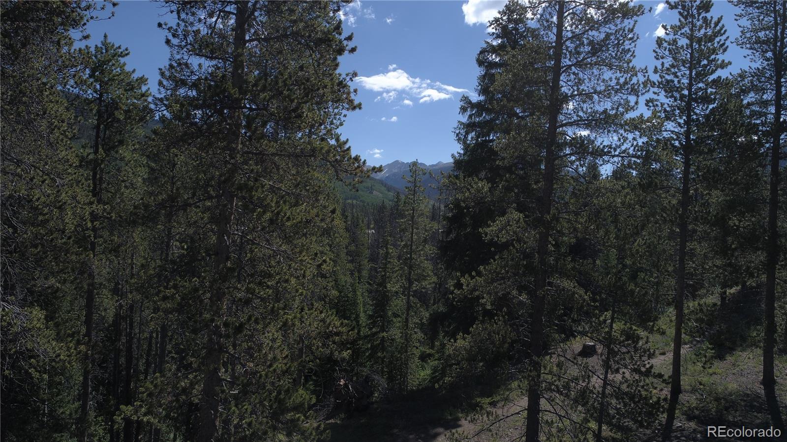 0125 Lake Ridge Circle Keystone CO 80435