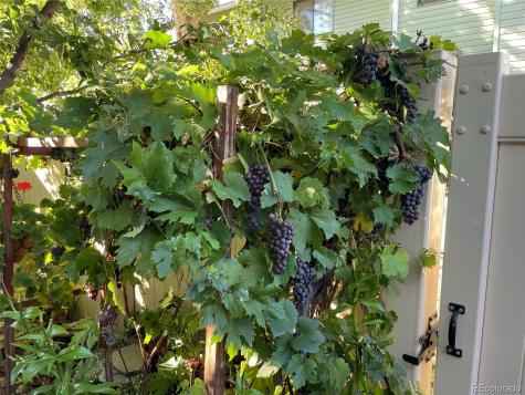 2029 Gyros Circle Lafayette CO 80026