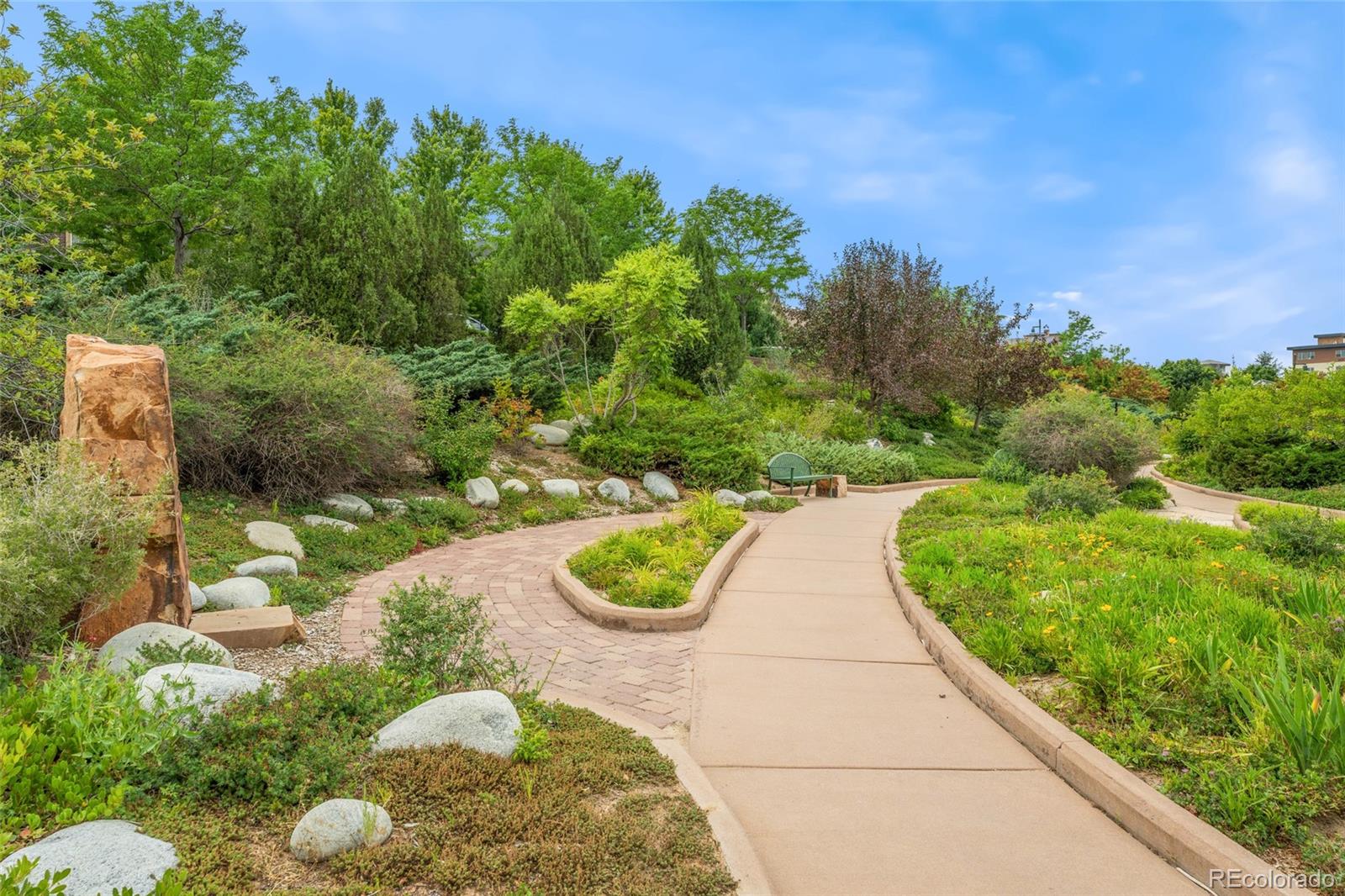 804 Rockhurst Drive Highlands Ranch CO 80129