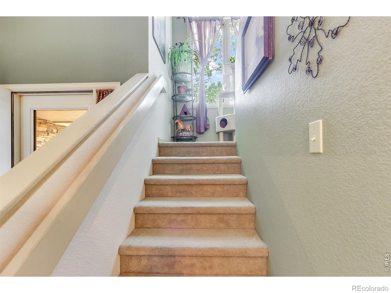 889 Crabapple Lane Estes Park CO 80517
