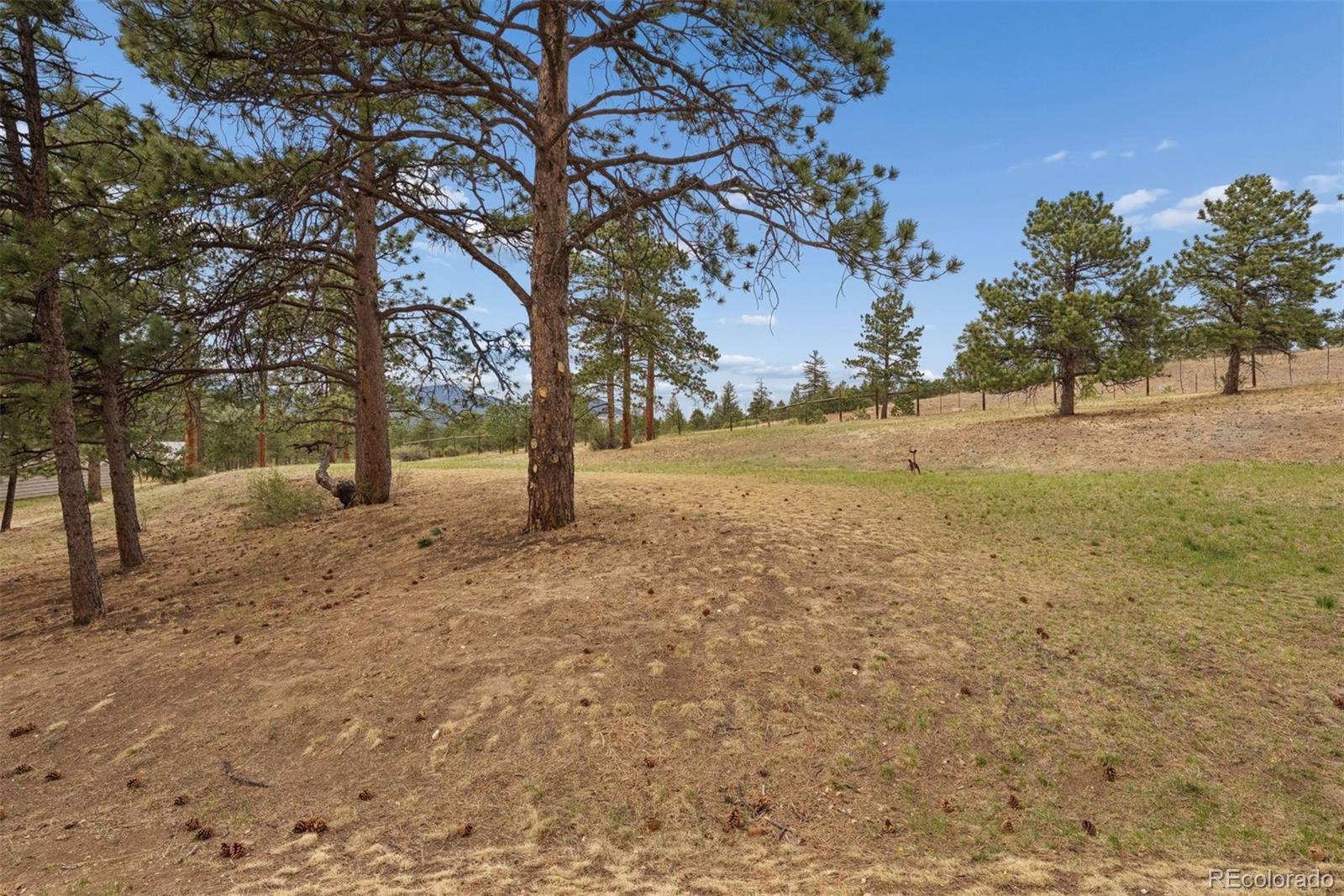 31819 Rocky Village Drive Evergreen CO 80439