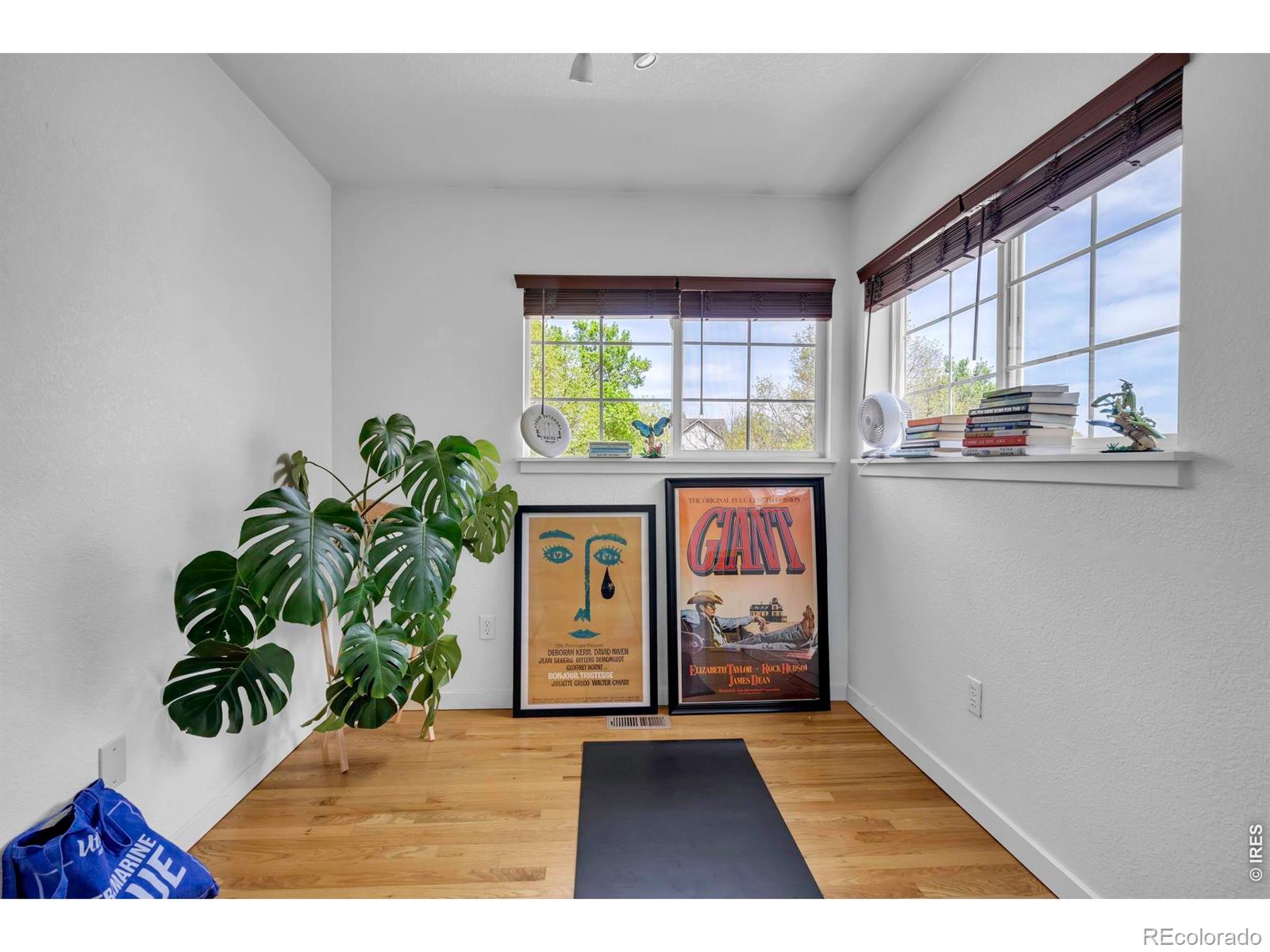 594 Beauprez Avenue Lafayette CO 80026