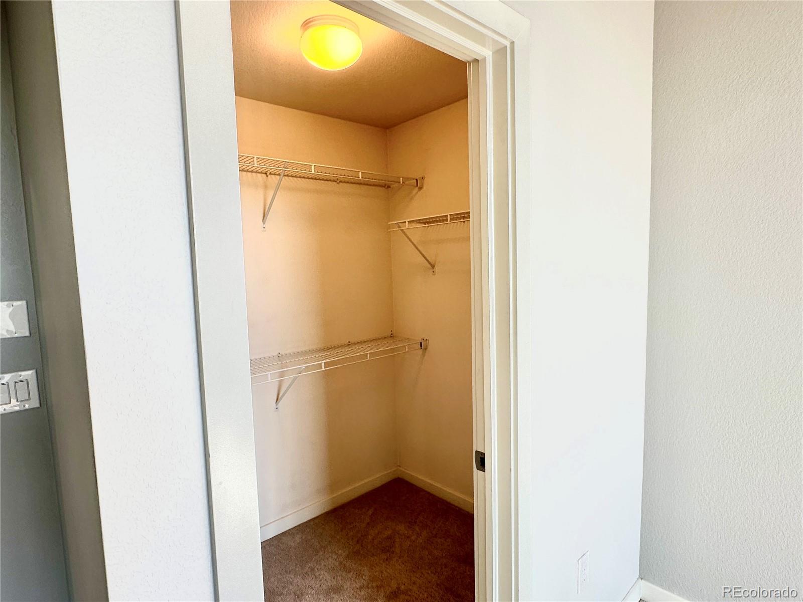 3045 N Geneva Street Denver CO 80238