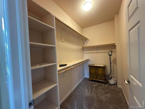 1238 Finch Street Loveland CO 80537