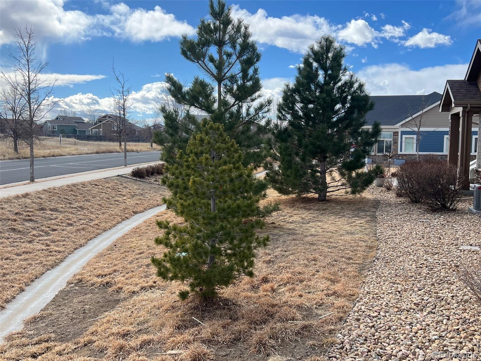 2029 S Flanders Way Aurora CO 80013