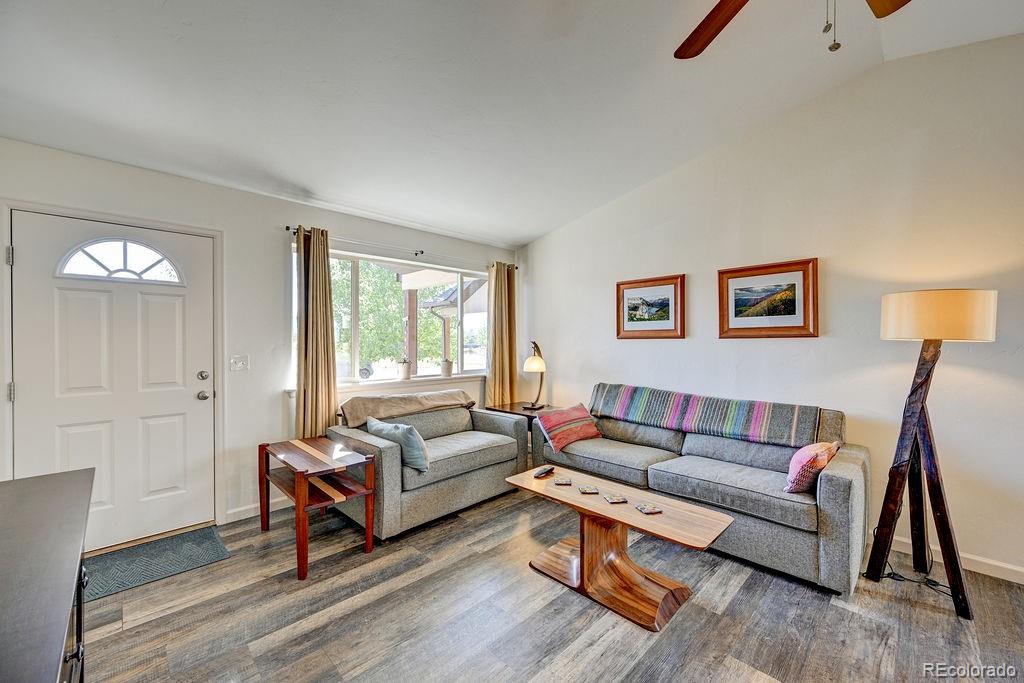 164 Larissa Lane Buena Vista CO 81211