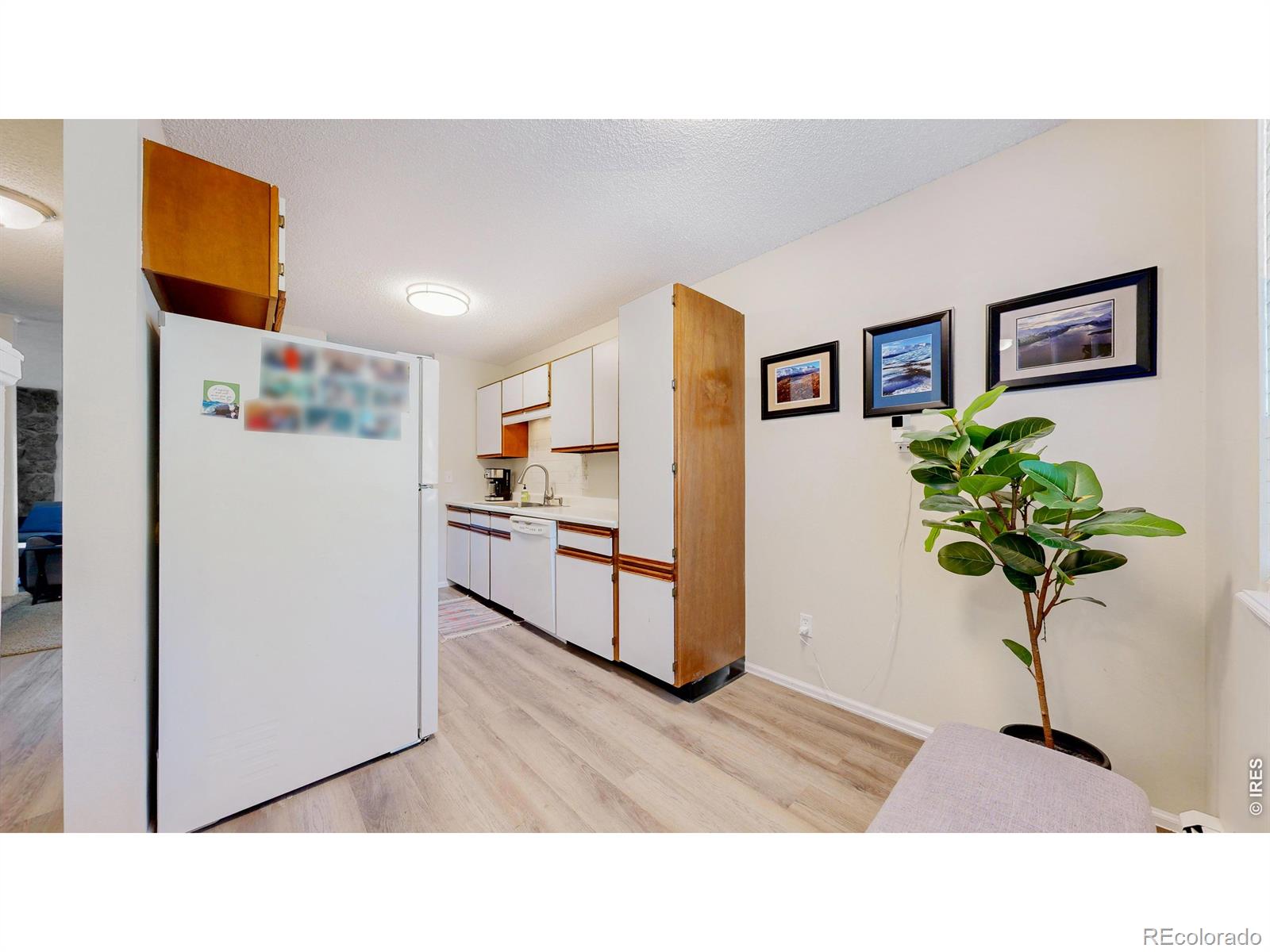 1404 Adriel Drive Fort Collins CO 80524
