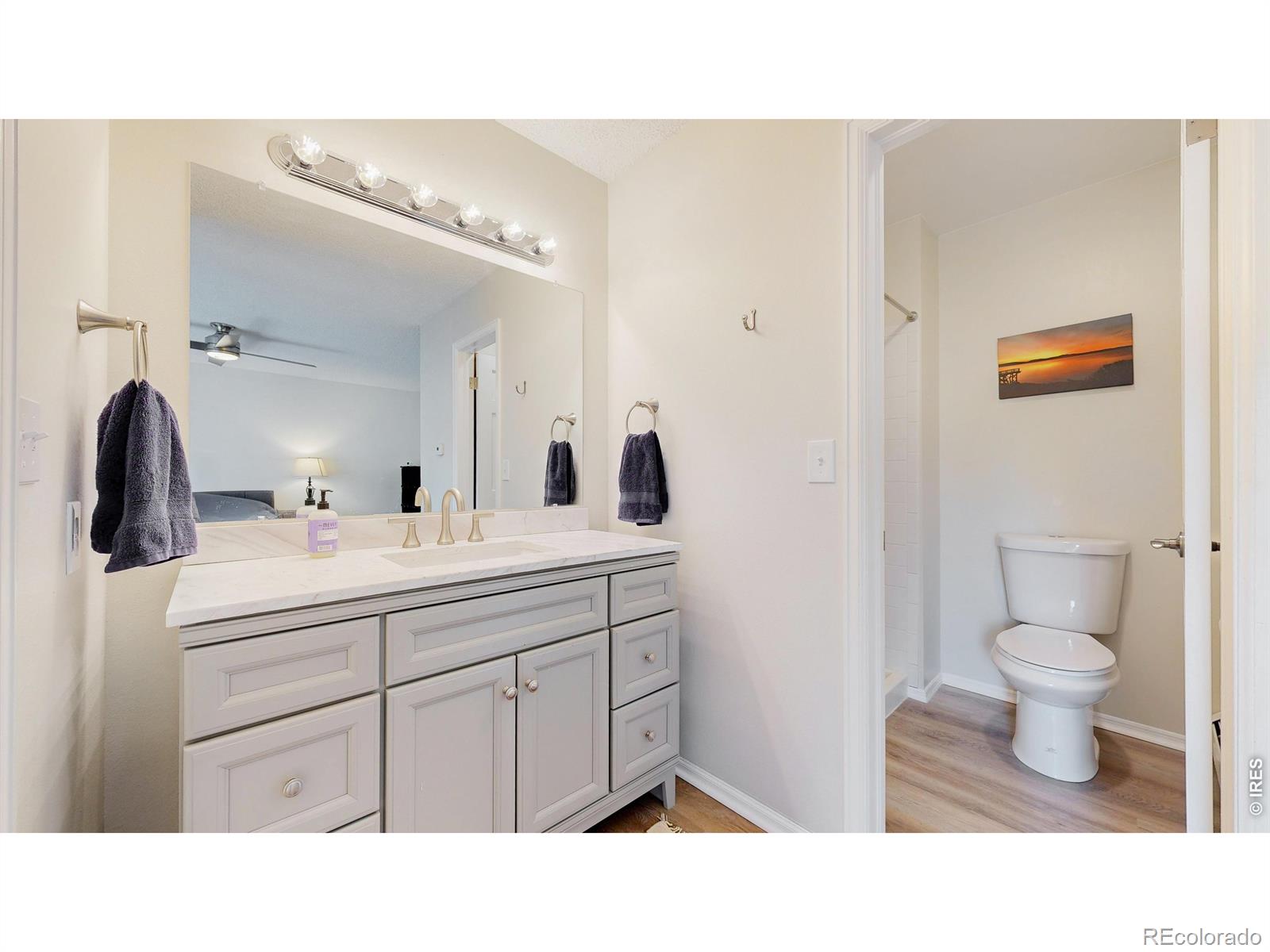1404 Adriel Drive Fort Collins CO 80524
