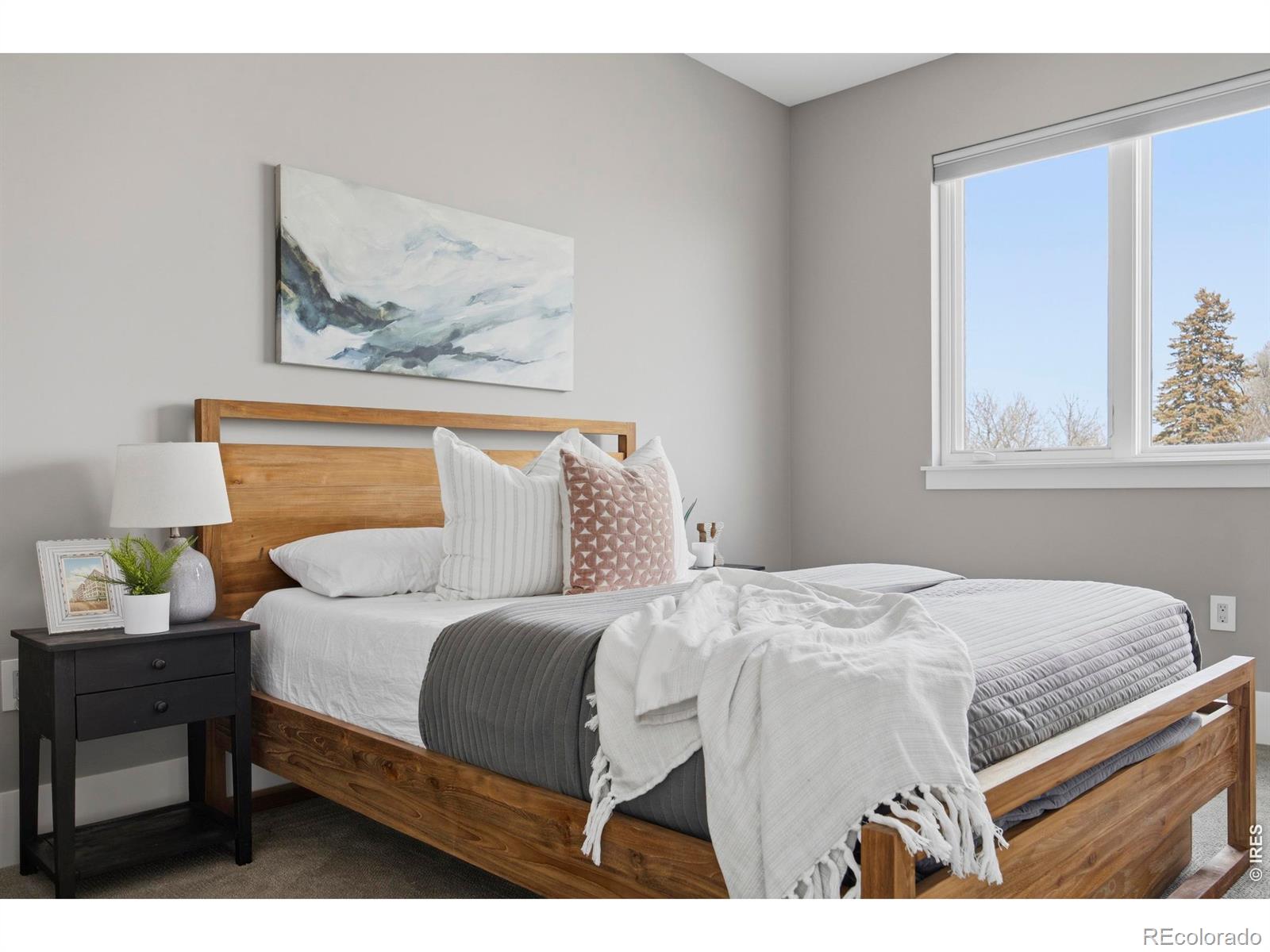 317 N Howes Street Fort Collins CO 80521