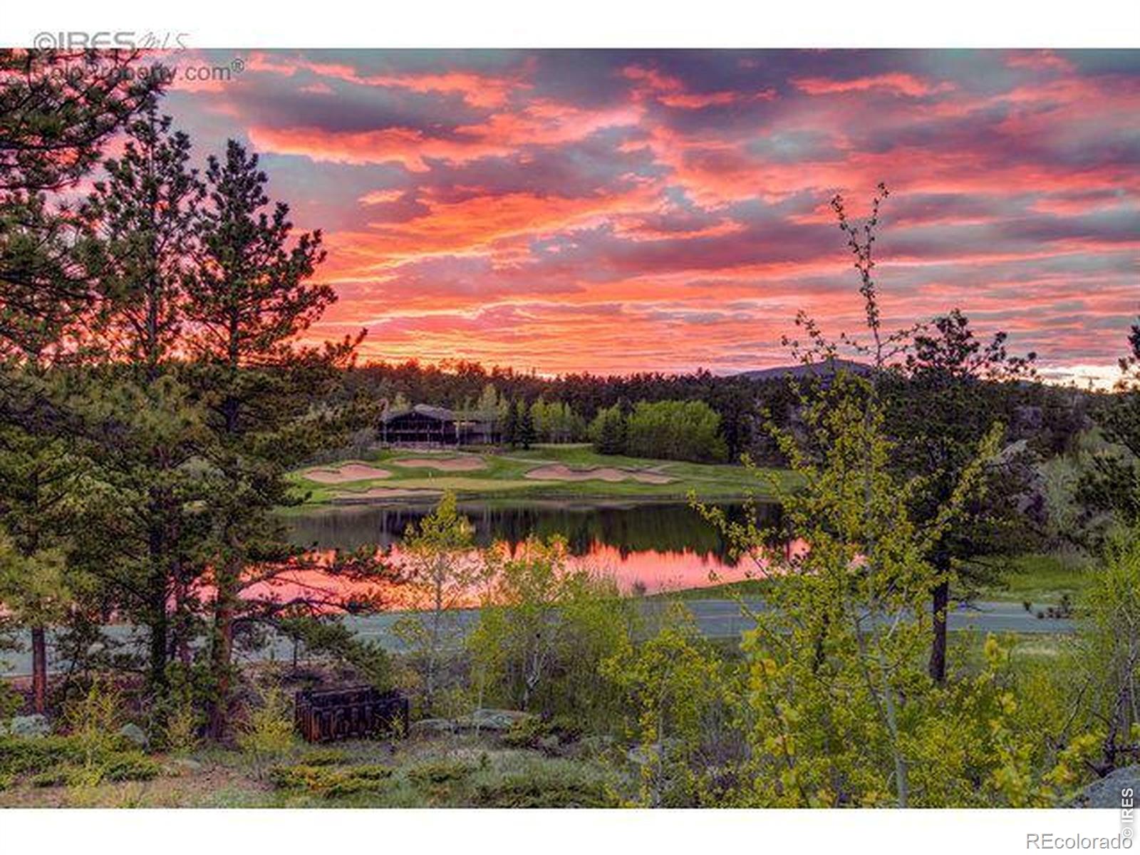 146 Ponderosa Court Red Feather Lakes CO 80545