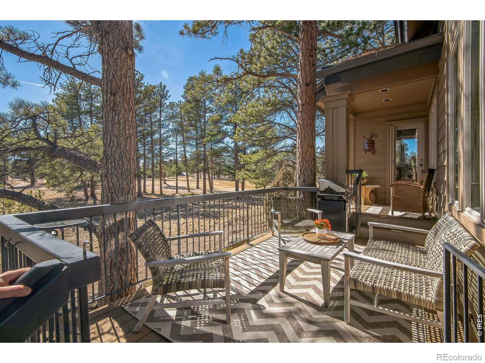 146 Ponderosa Court Red Feather Lakes CO 80545