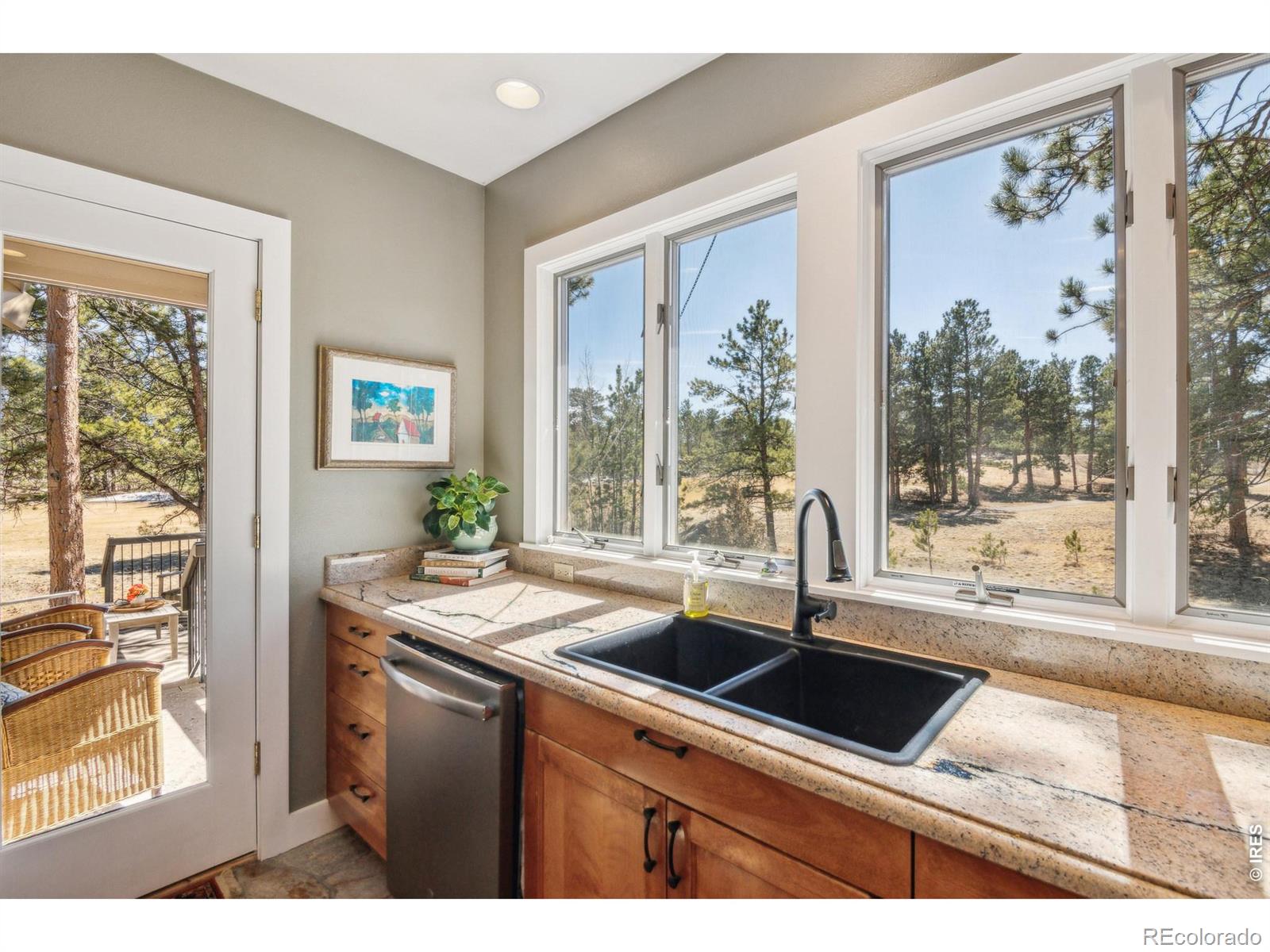 146 Ponderosa Court Red Feather Lakes CO 80545