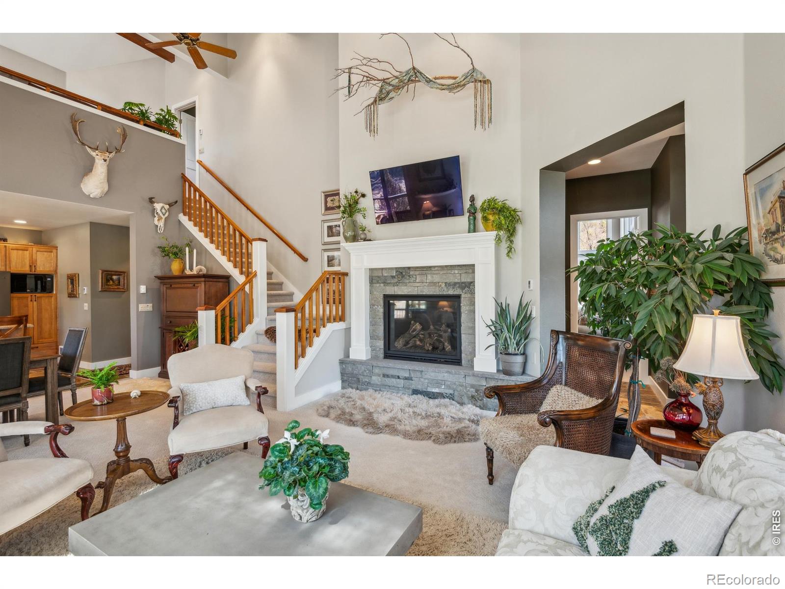 146 Ponderosa Court Red Feather Lakes CO 80545