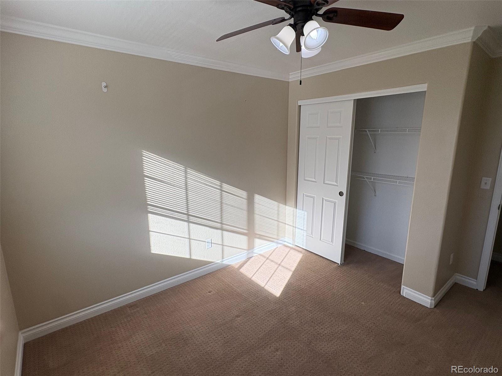 2667 Live Oak Court Castle Rock CO 80104