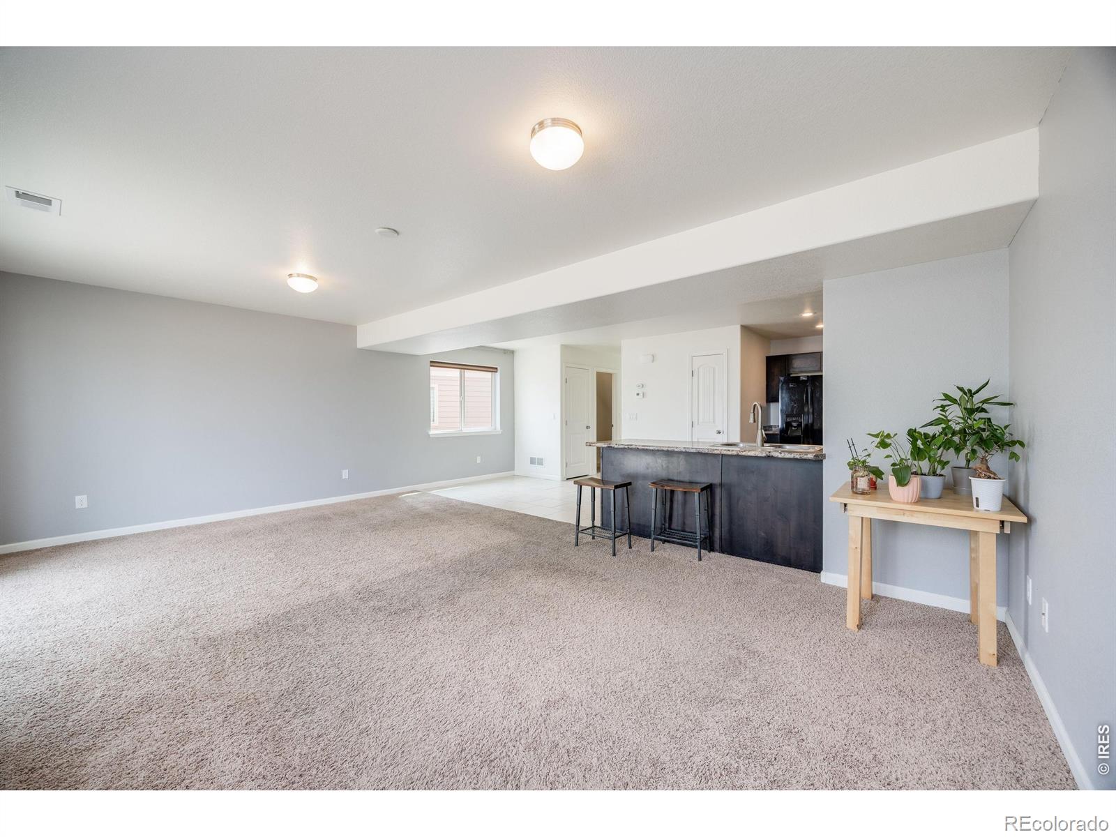 3102 Alybar Drive Wellington CO 80549