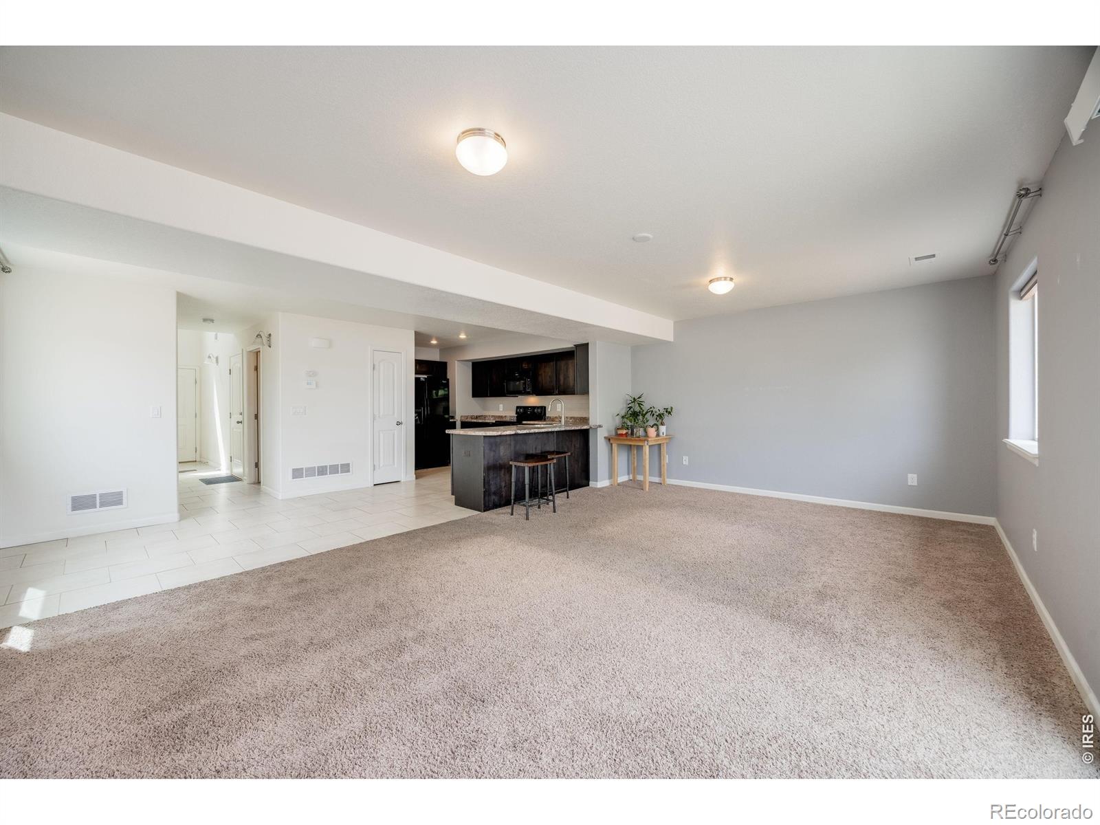 3102 Alybar Drive Wellington CO 80549