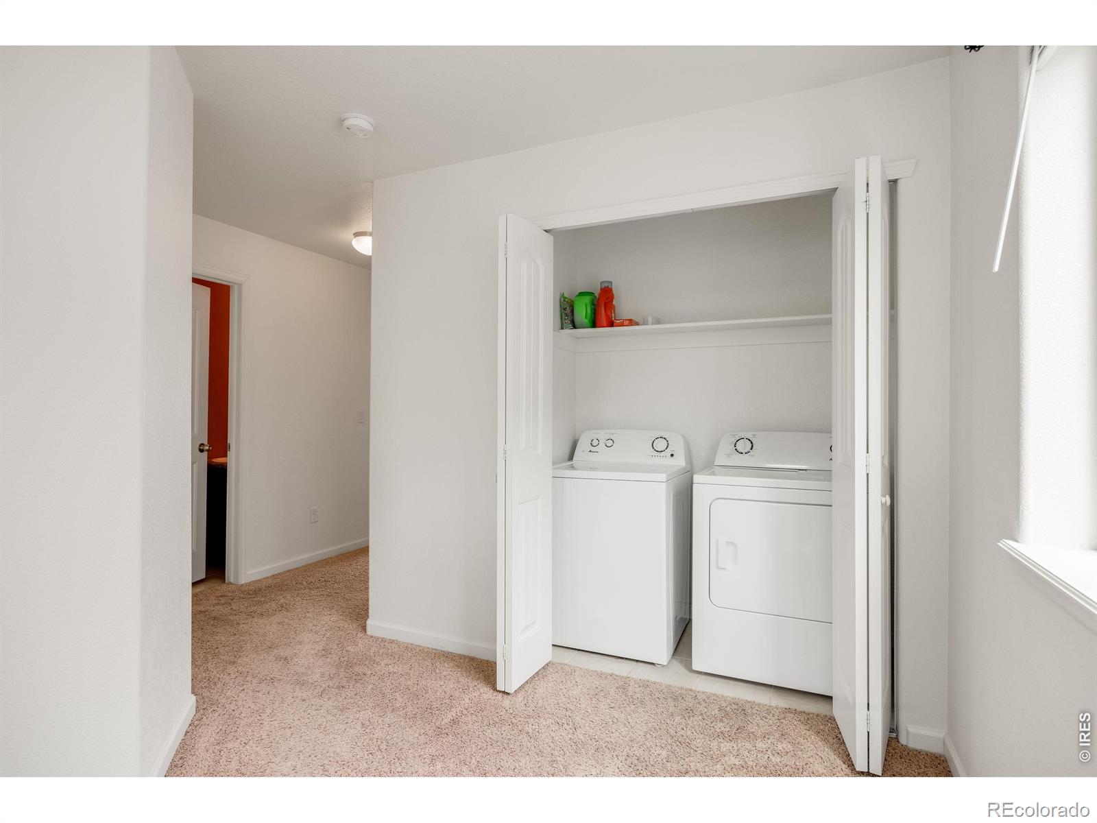 3102 Alybar Drive Wellington CO 80549
