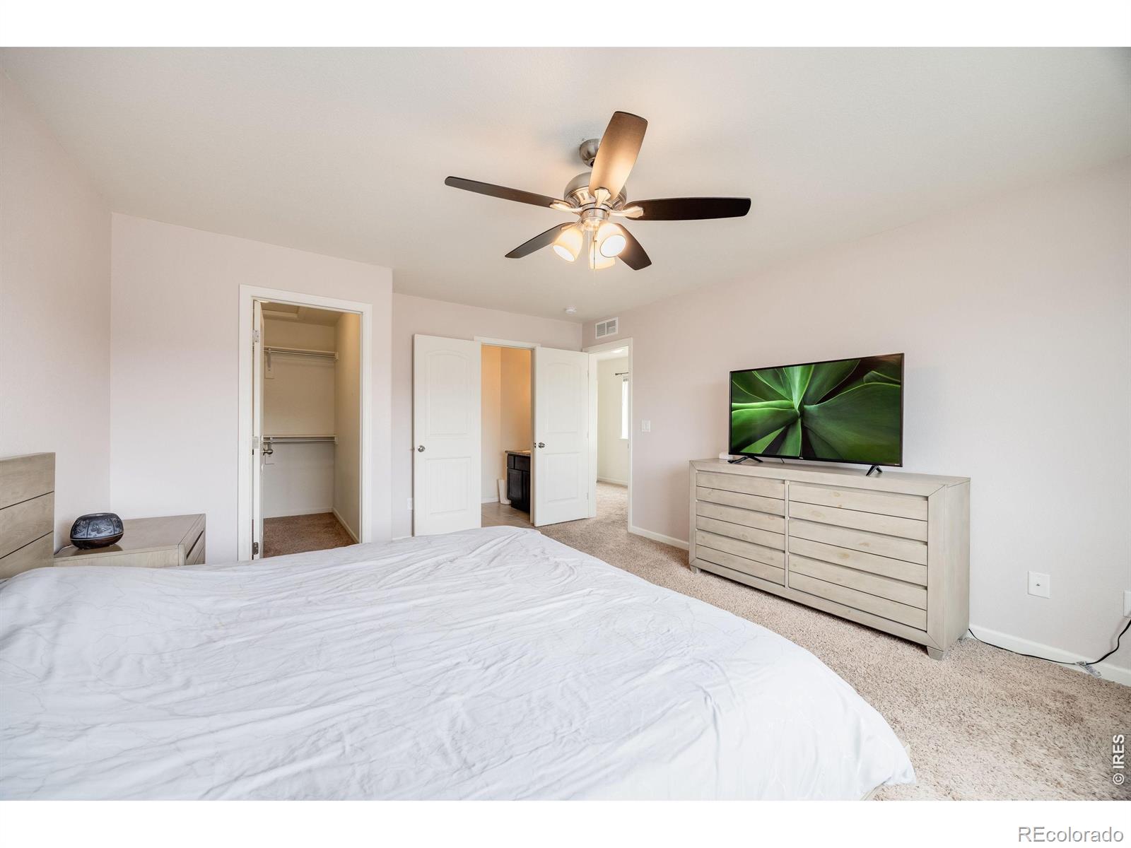 3102 Alybar Drive Wellington CO 80549