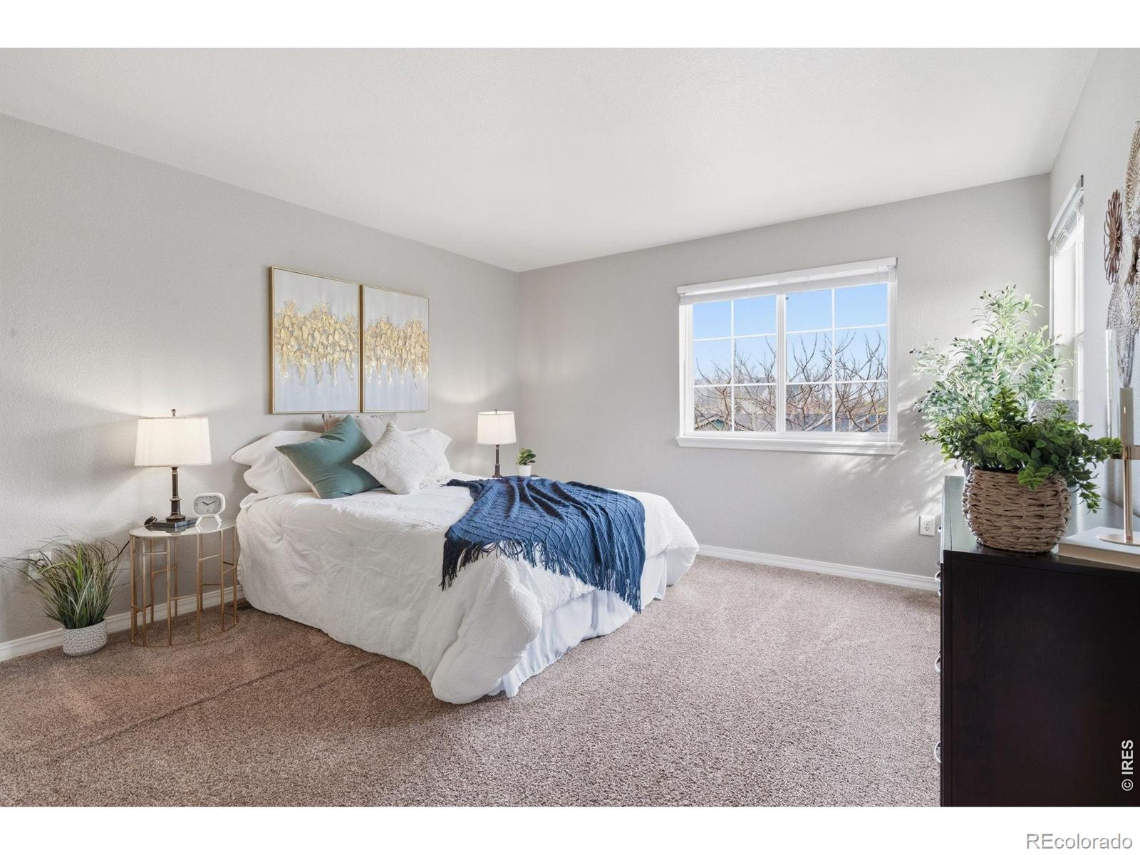 5551 Cornerstone Drive Fort Collins CO 80528
