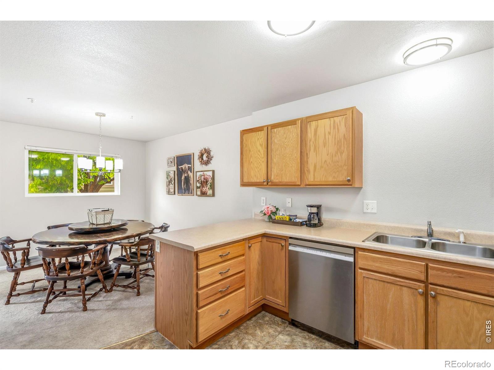 2702 Rigden Parkway Fort Collins CO 80525