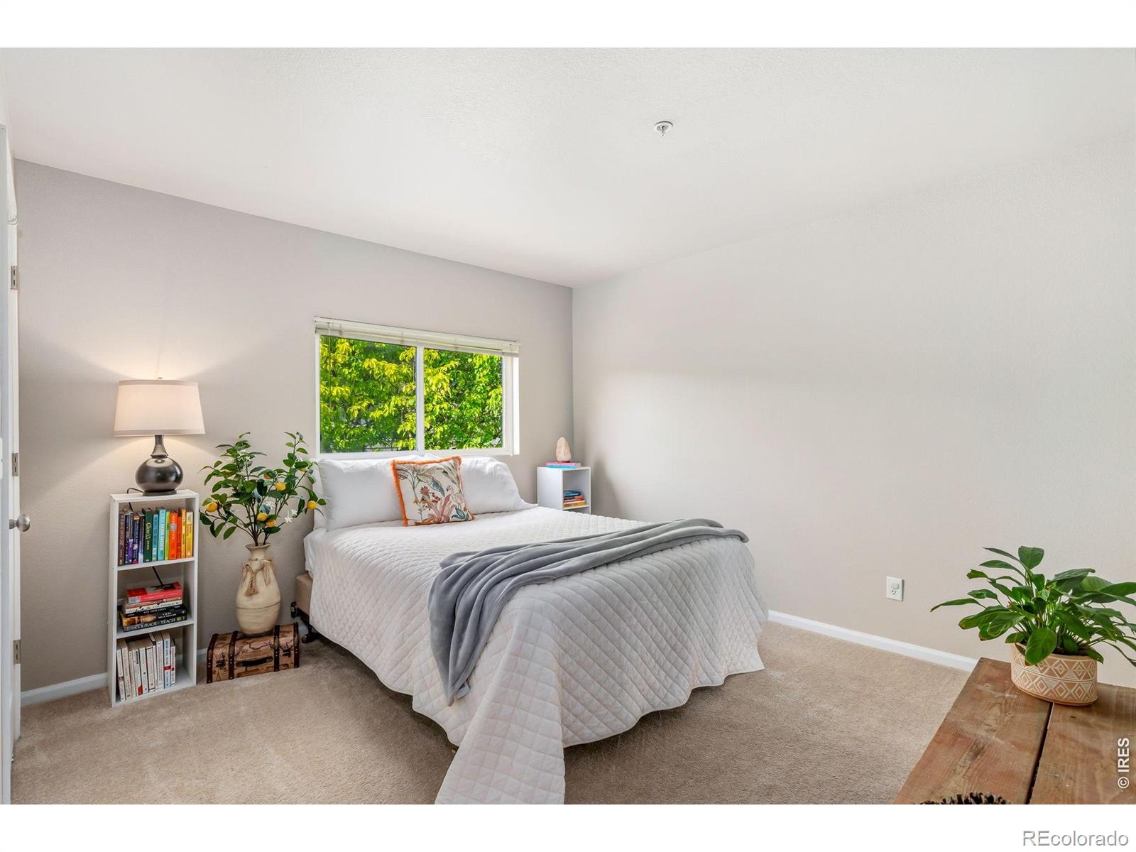2702 Rigden Parkway Fort Collins CO 80525