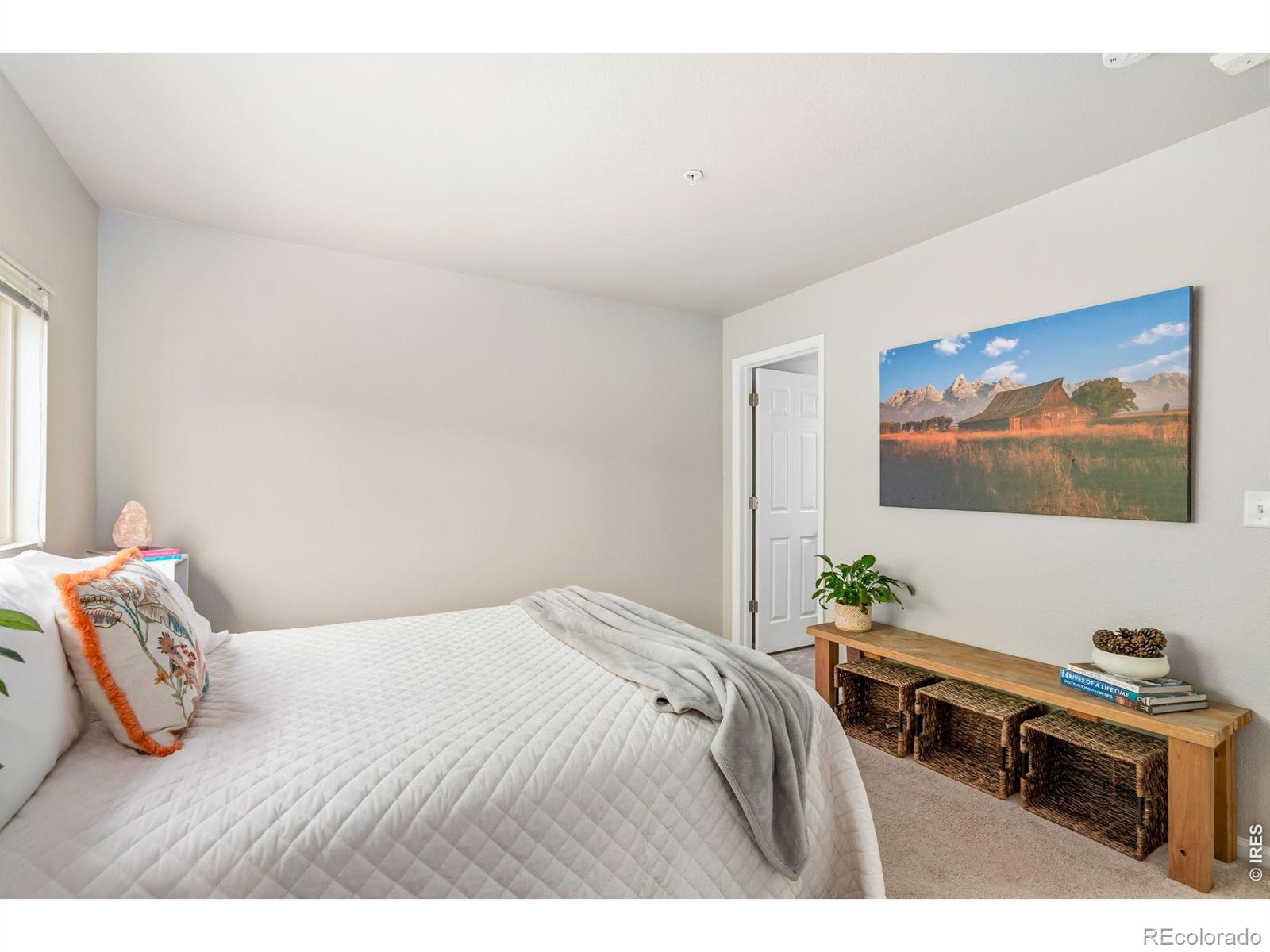 2702 Rigden Parkway Fort Collins CO 80525