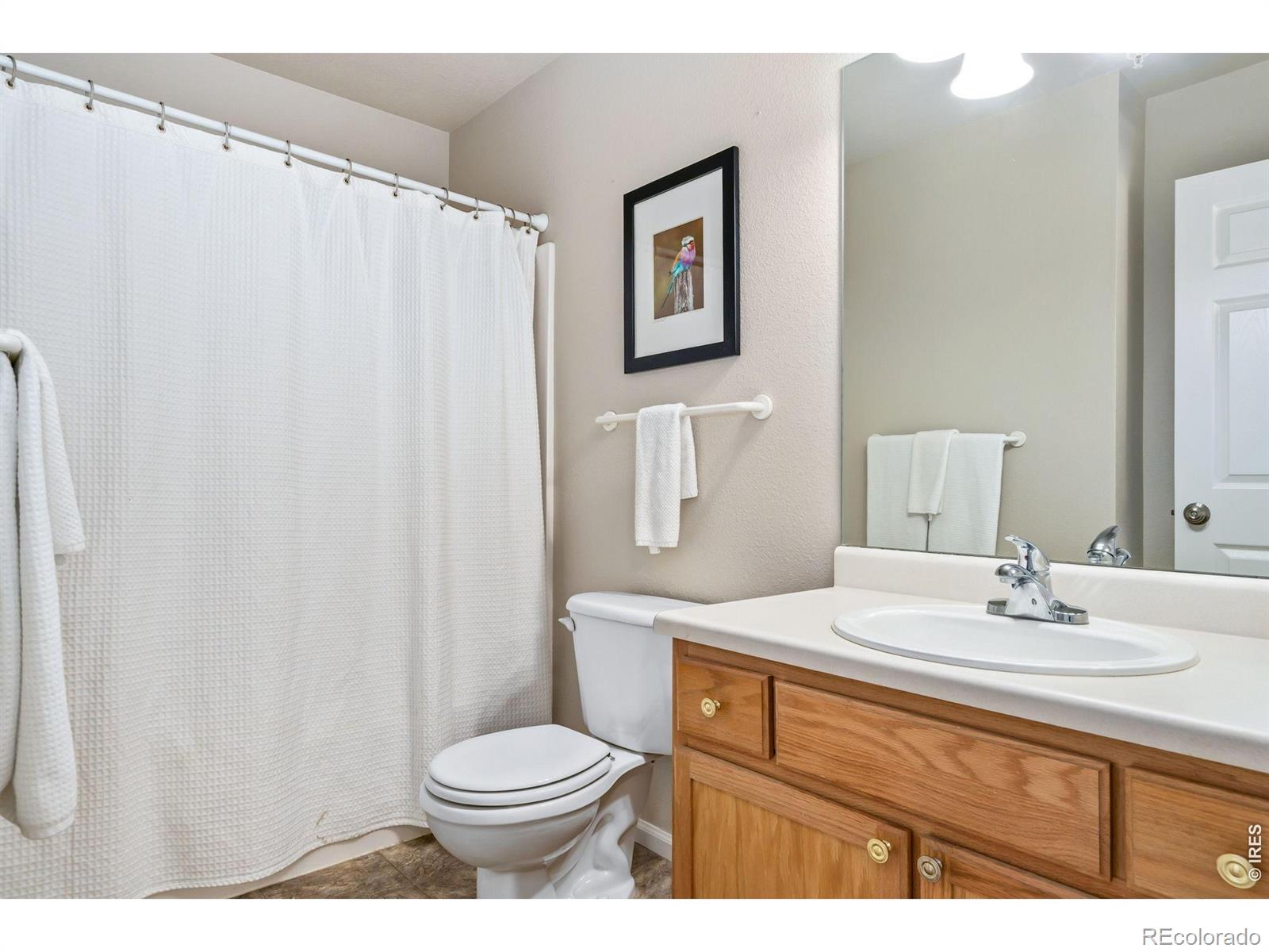 2702 Rigden Parkway Fort Collins CO 80525