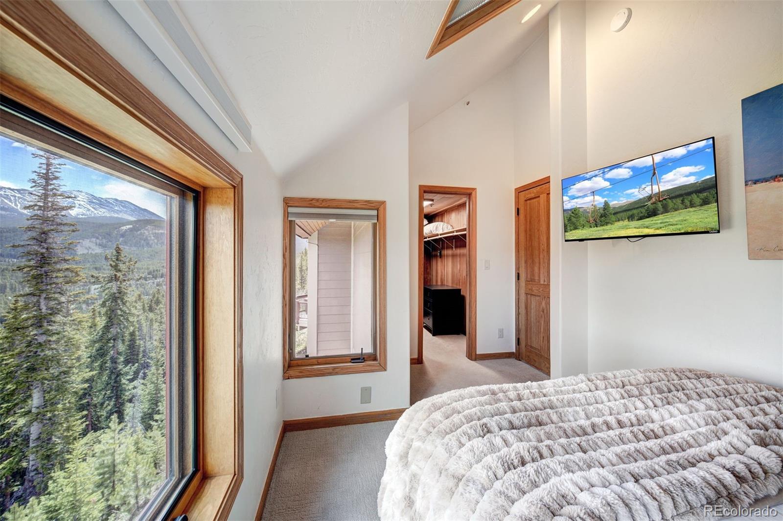 442 White Cloud Drive Breckenridge CO 80424
