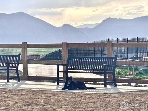 2343 Buttercup Court Superior CO 80027
