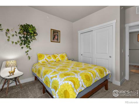 6826 School House Drive Timnath CO 80547