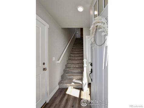 6826 School House Drive Timnath CO 80547