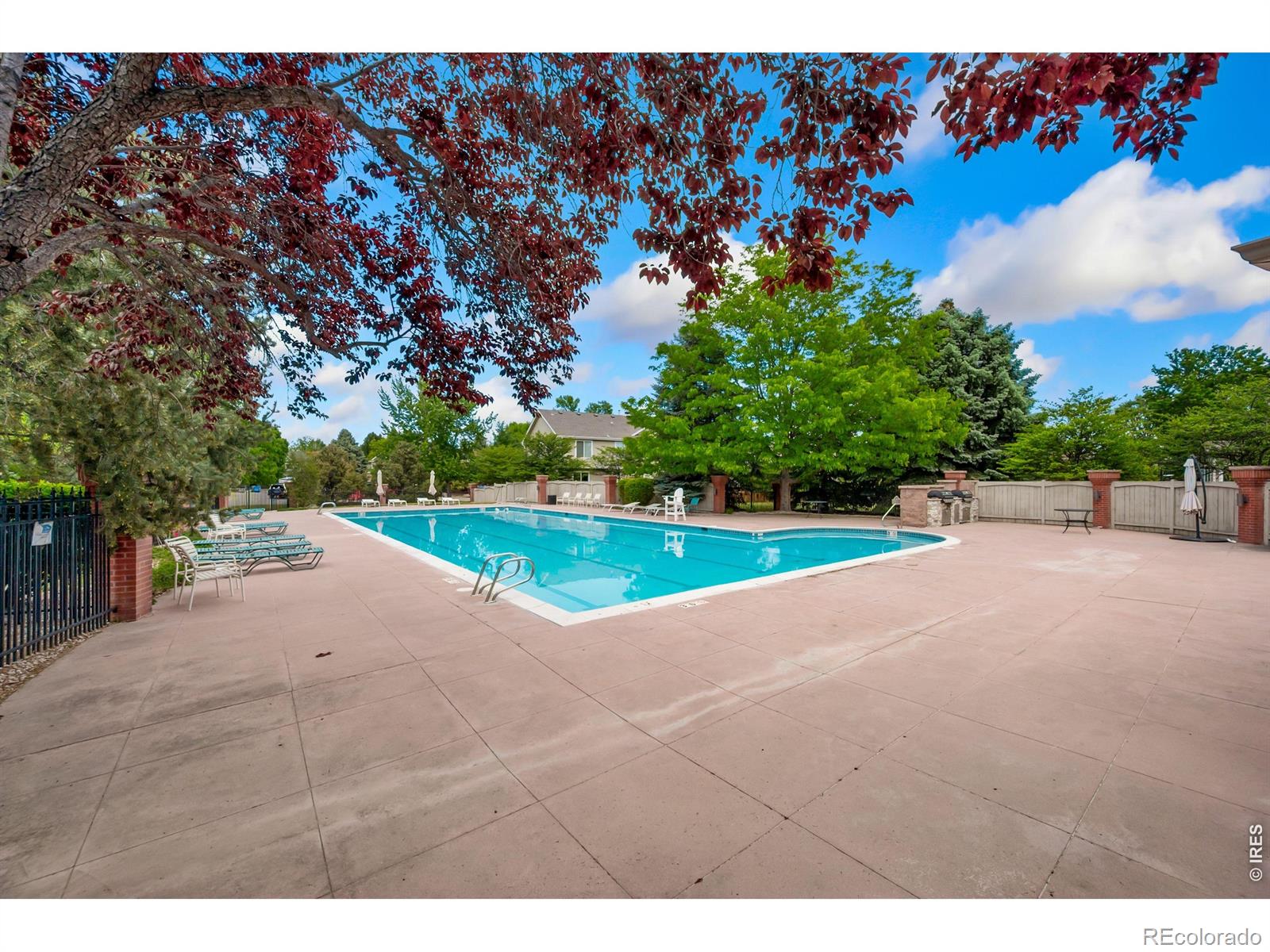 3500 Swanstone Drive Fort Collins CO 80525