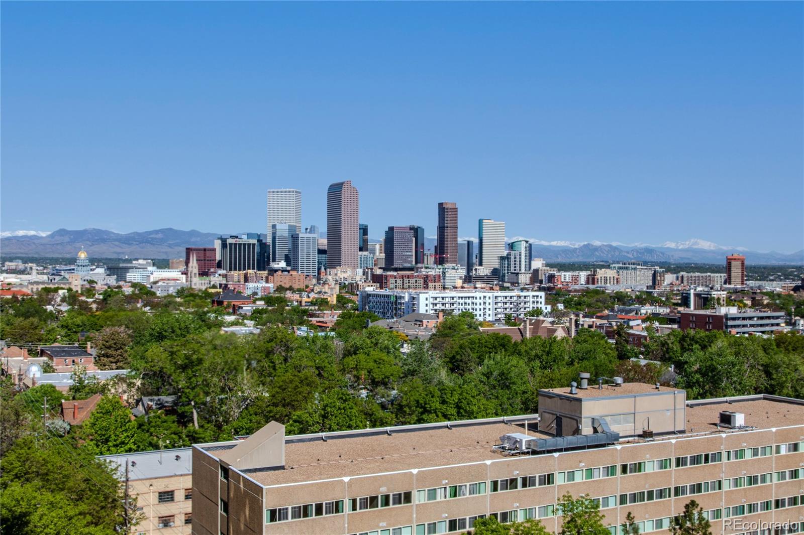 1201 N Williams Street Denver CO 80218