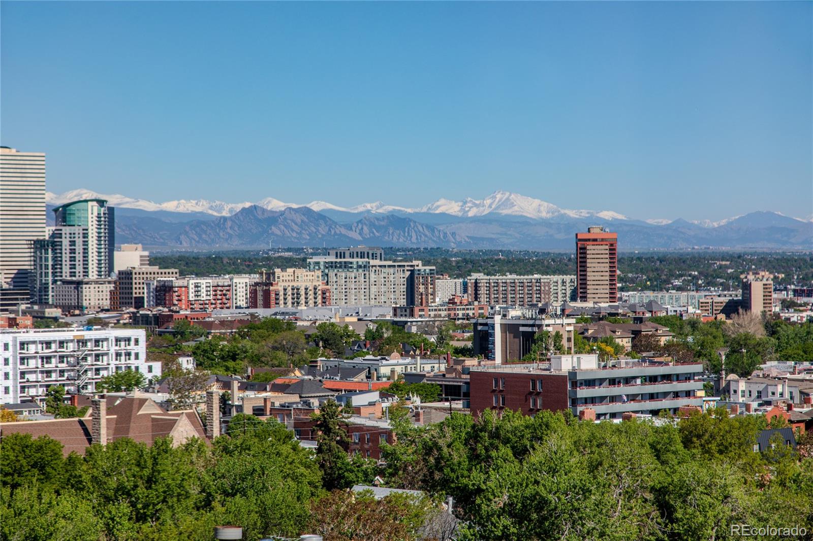 1201 N Williams Street Denver CO 80218
