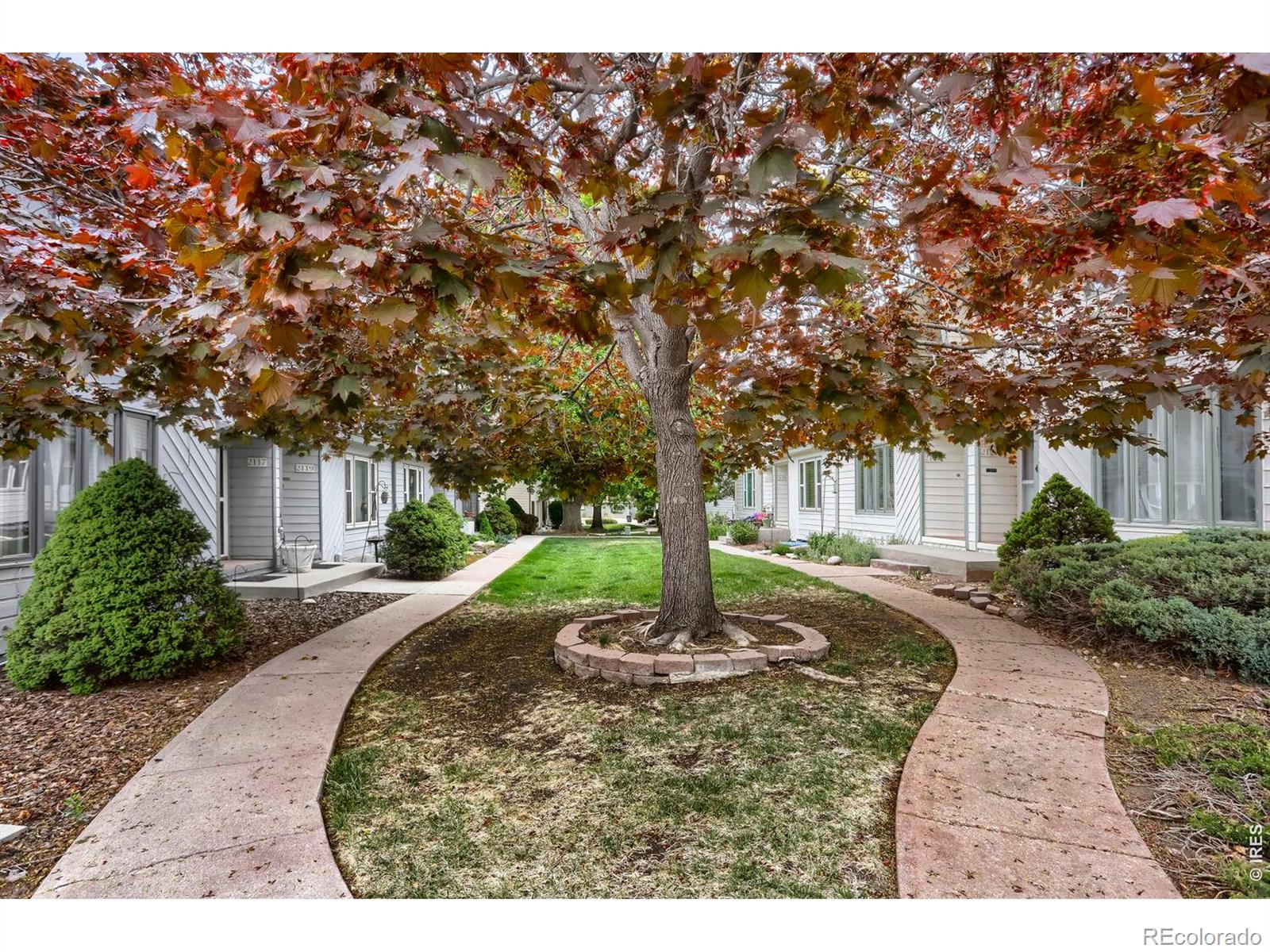 2123 Meadow Court Longmont CO 80501