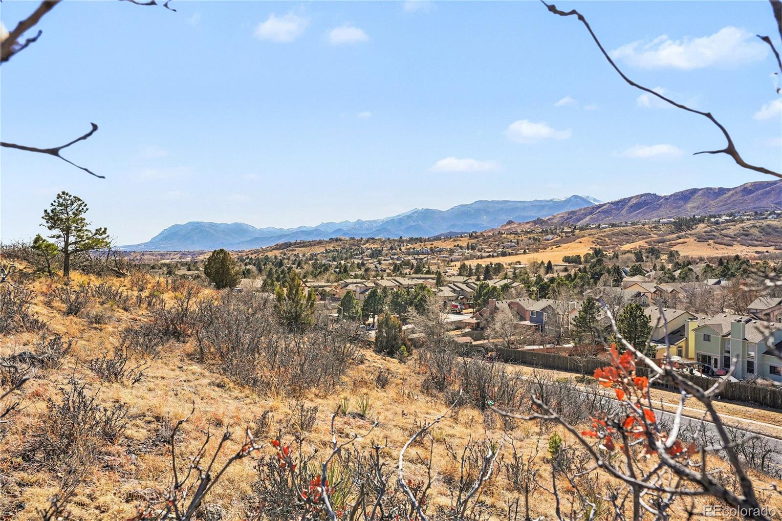 6973 Yellowpine Drive Colorado Springs CO 80919
