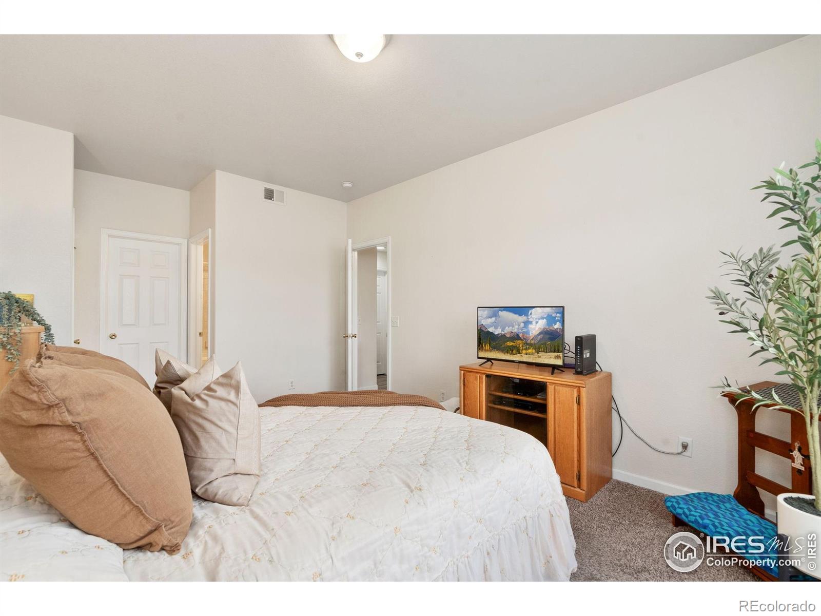 1343 Lake Circle Windsor CO 80550