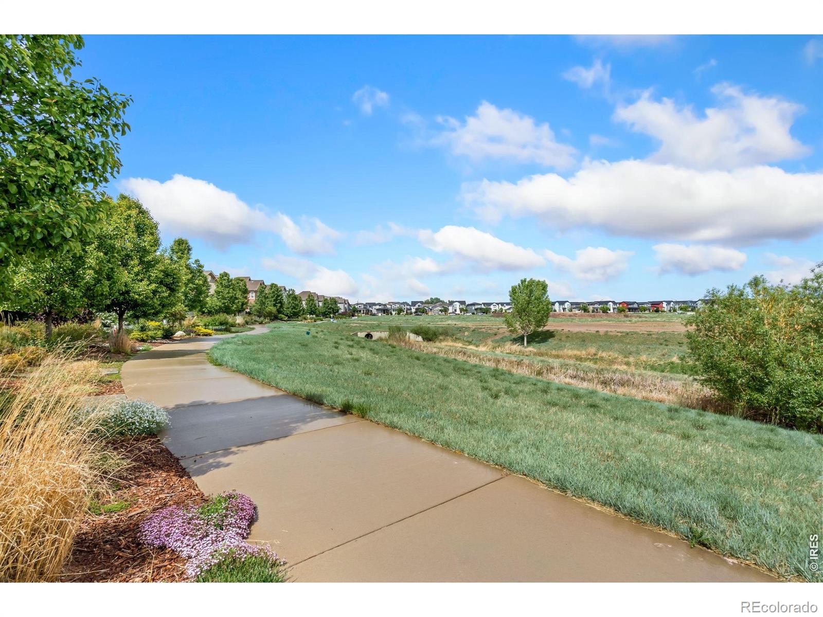302 Skyraider Way Fort Collins CO 80524