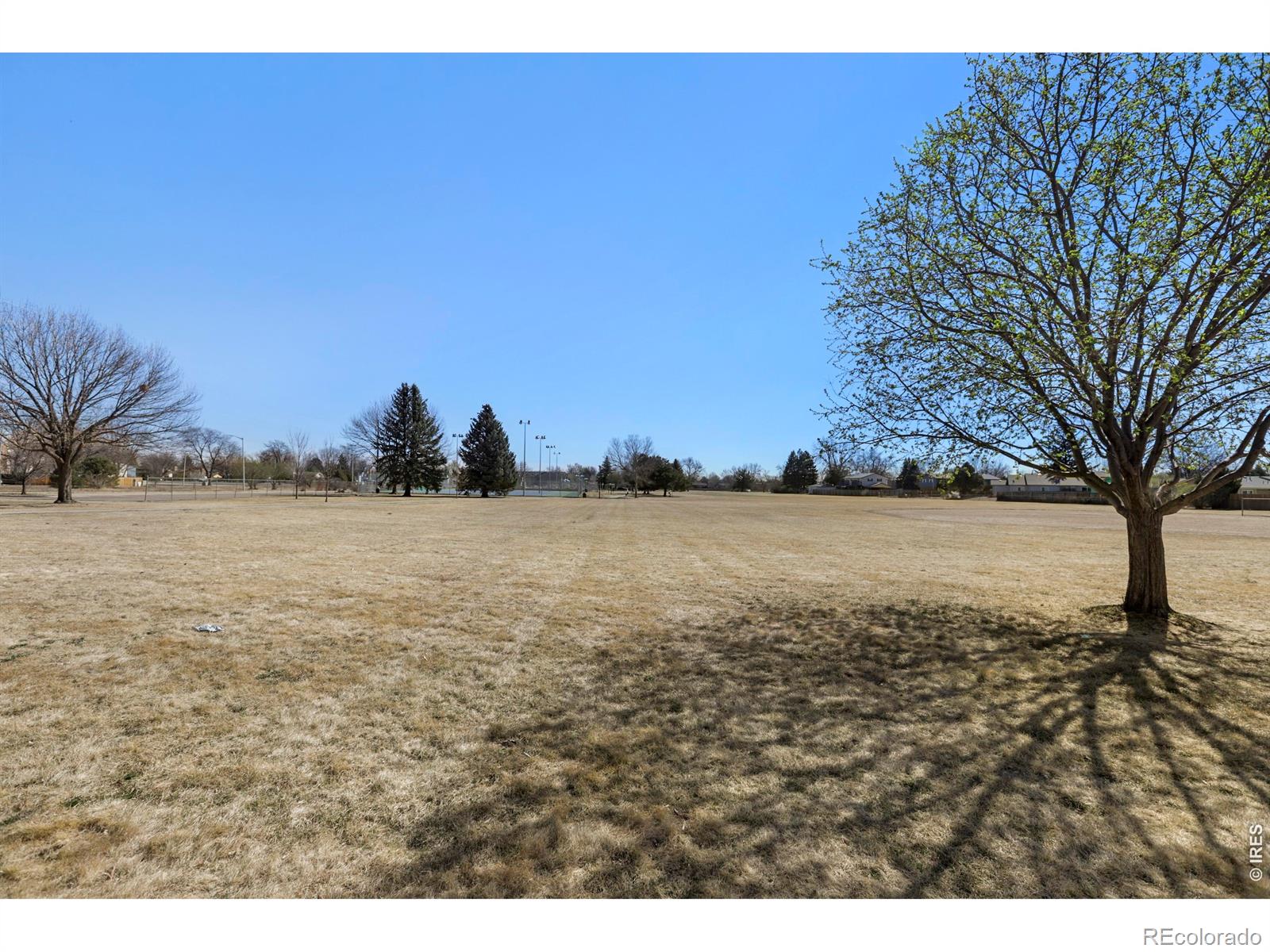 2024 Lincoln Street Longmont CO 80501
