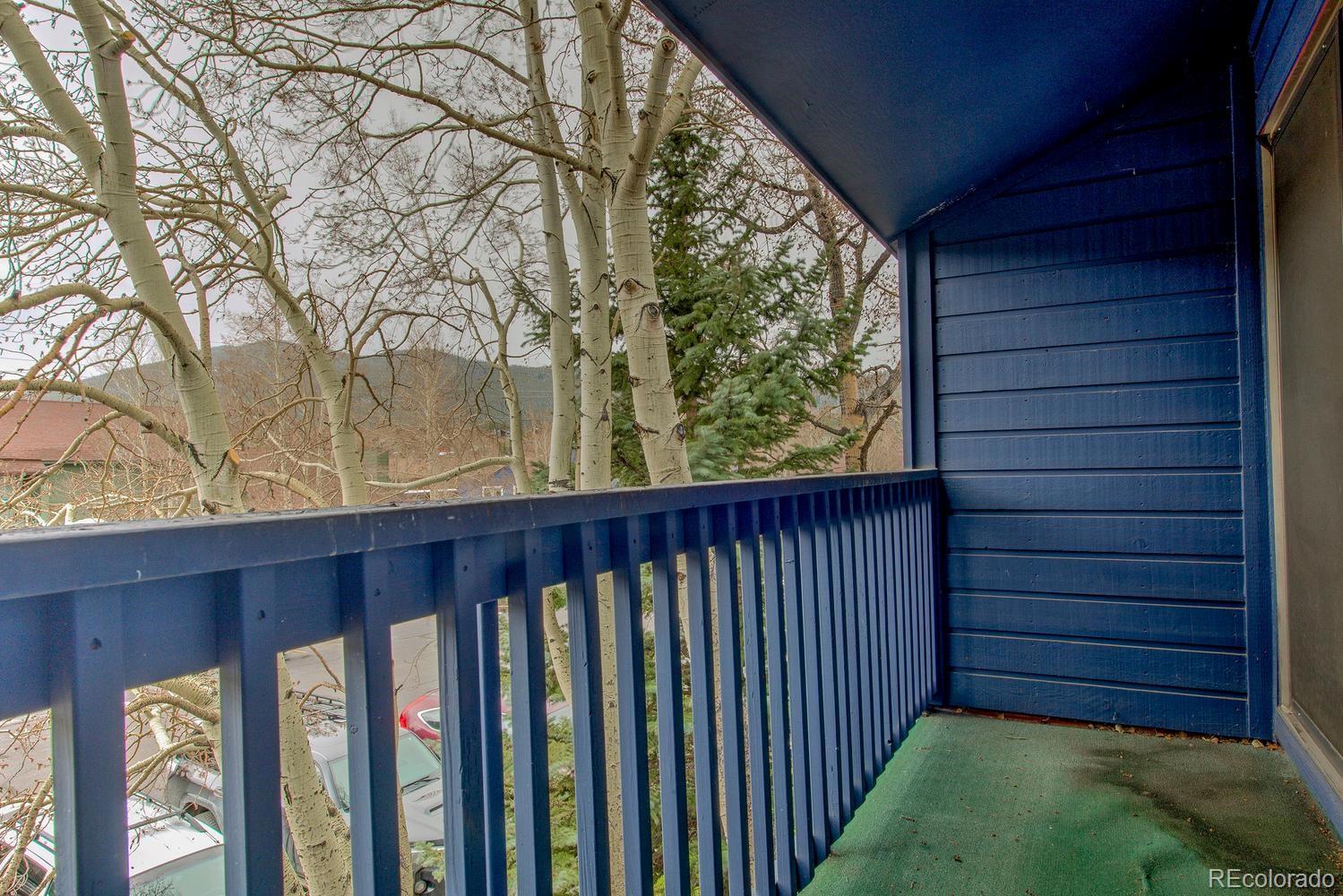 250 Cove Boulevard Dillon CO 80435