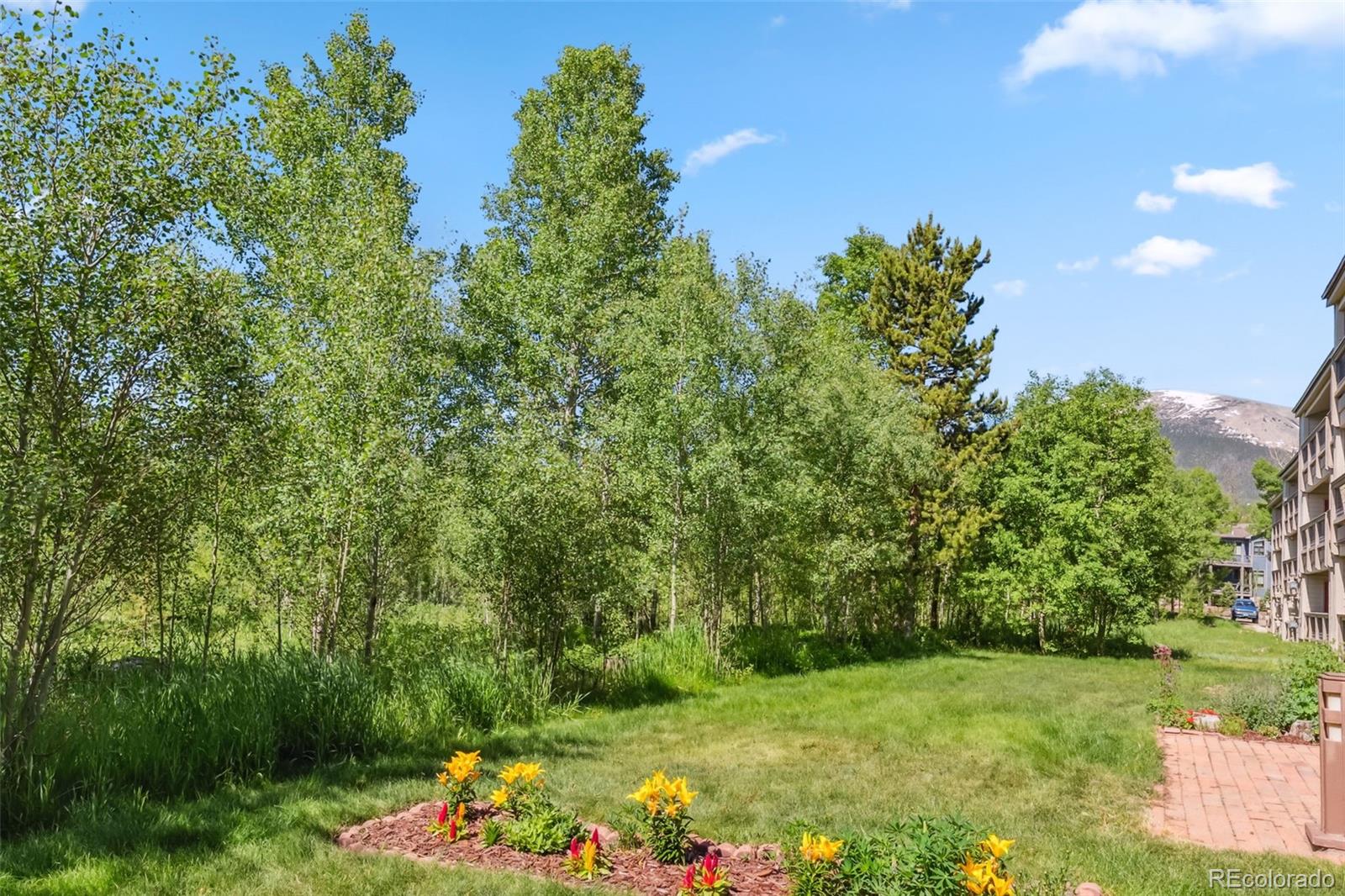 4612 Ryan Gulch Road Silverthorne CO 80498