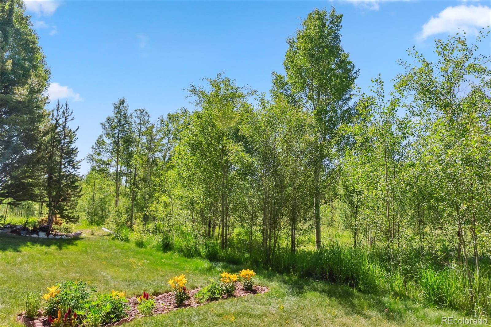 4612 Ryan Gulch Road Silverthorne CO 80498