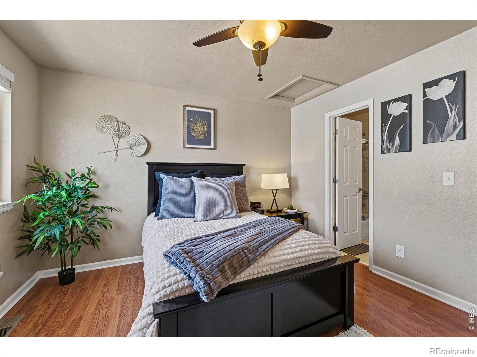 4204 Riley Drive Longmont CO 80503