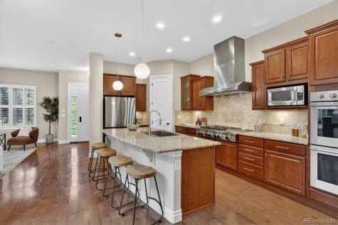 10126 Ridgegate Circle Lone Tree CO 80124