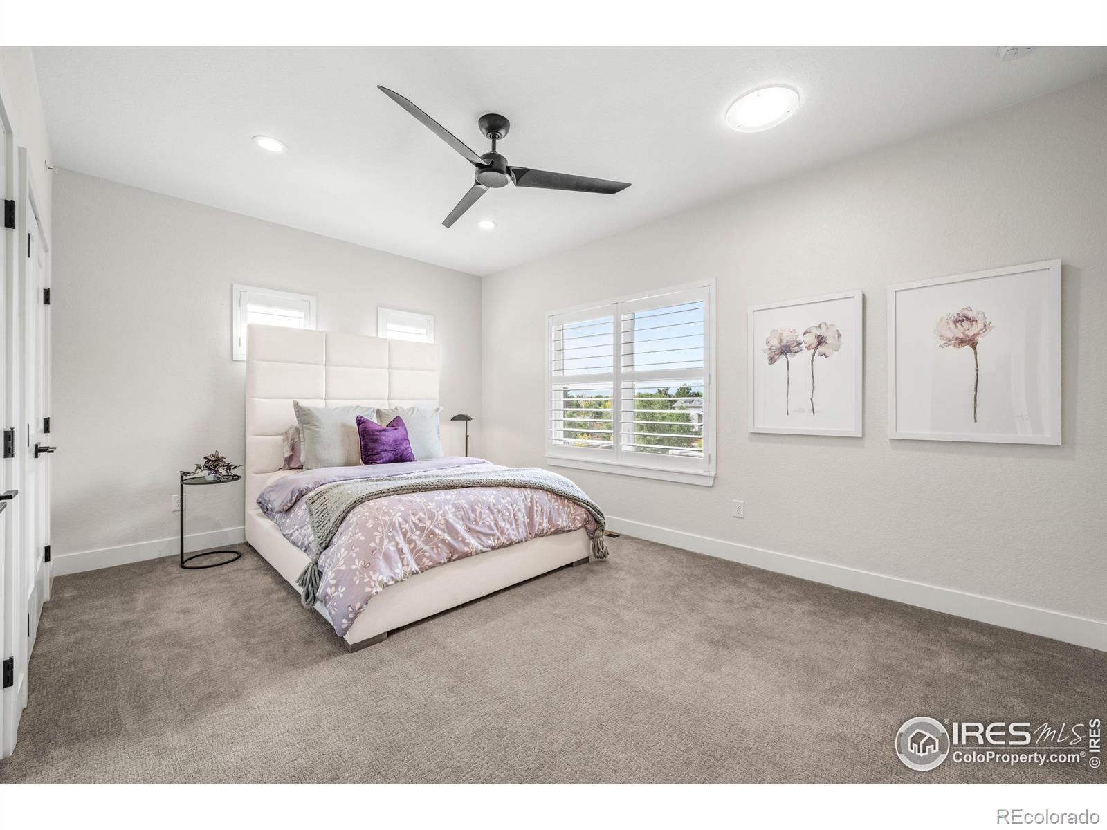 242 Clementina Street Louisville CO 80027