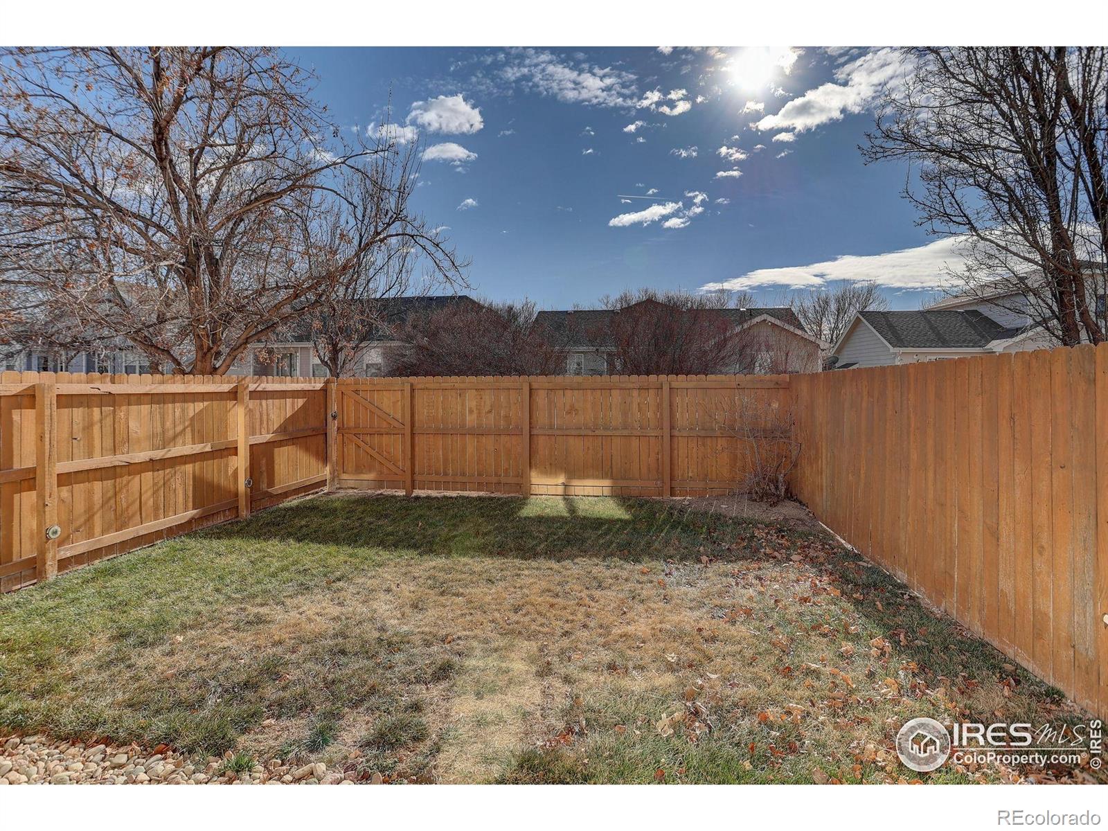 1506 Peacock Place Loveland CO 80537