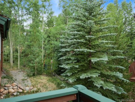67 Fox Hollow Lane Silverthorne CO 80498