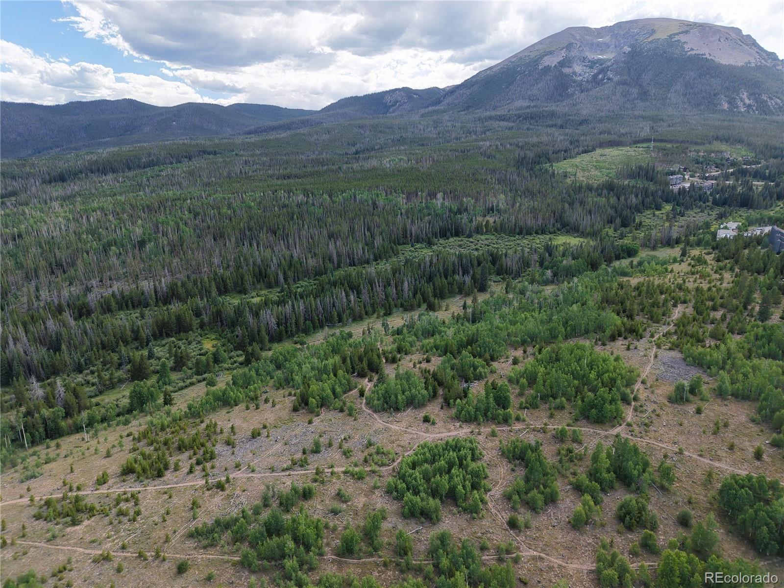 67 Fox Hollow Lane Silverthorne CO 80498