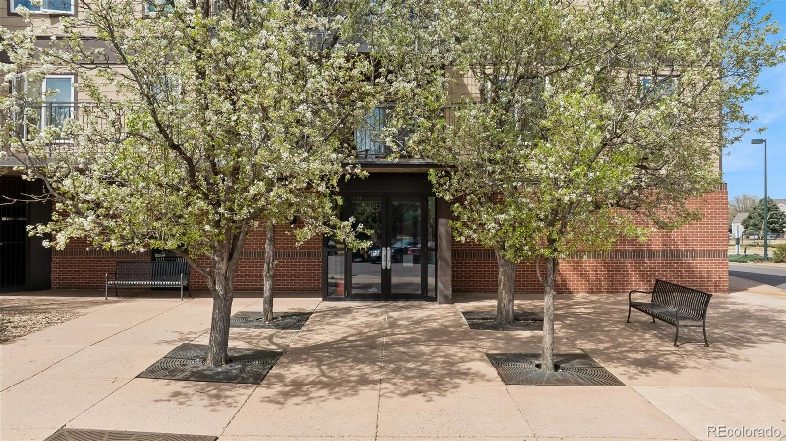 15475 Andrews Drive Denver CO 80239